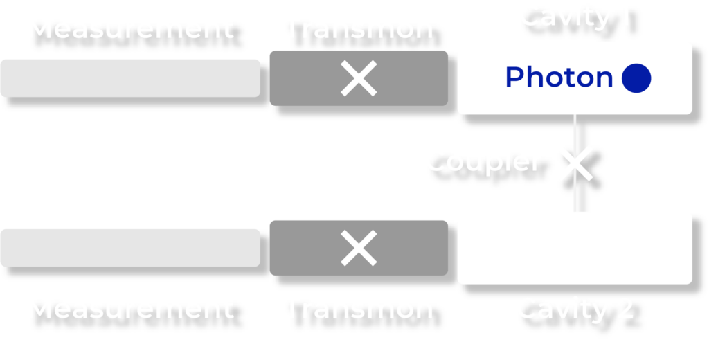 Dual-Rail Qubit